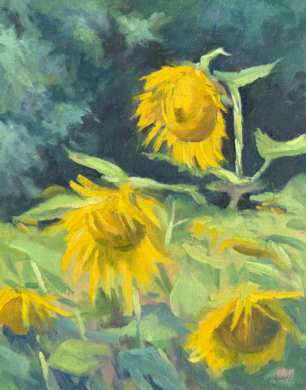 Fields Aglow by Jennifer Howard