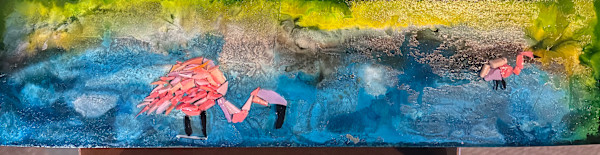 Galapagos Flamingos by Anastasia Walsh