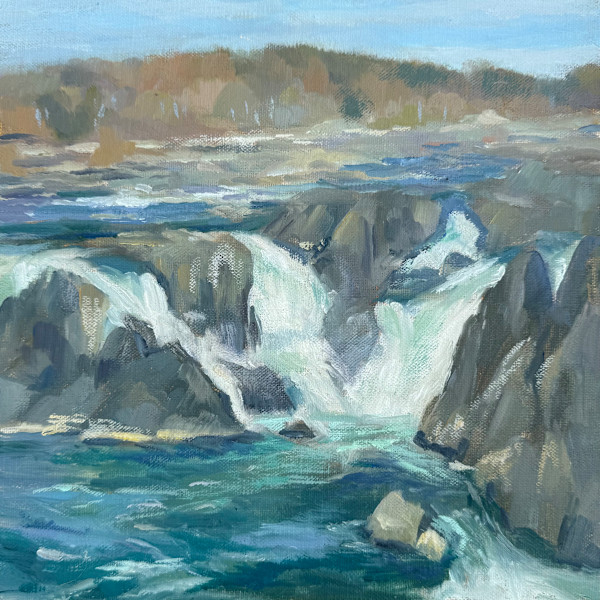 Great Falls View by Jennifer Howard