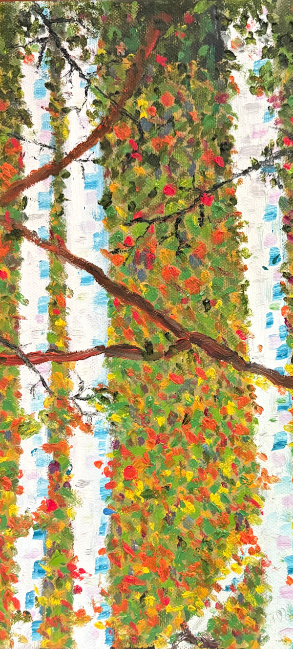 Fall Forest by Jim Hoehn