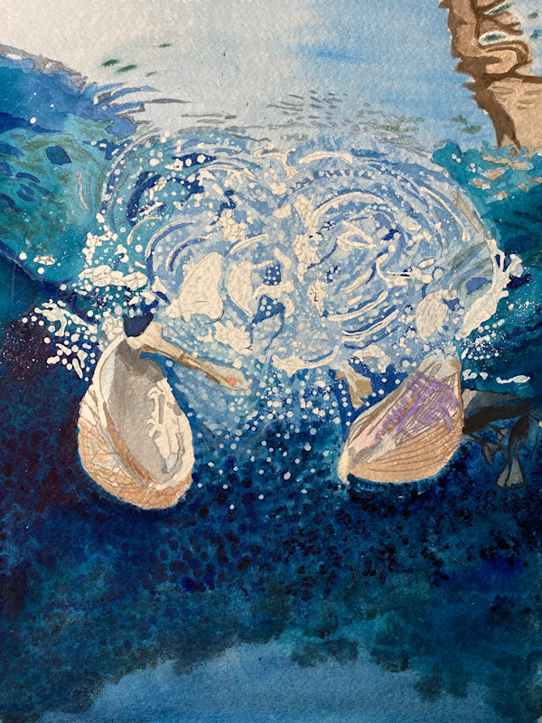 Swirling Movement by Pelicans by Alexandra Treadaway-Hoare, Image 1.