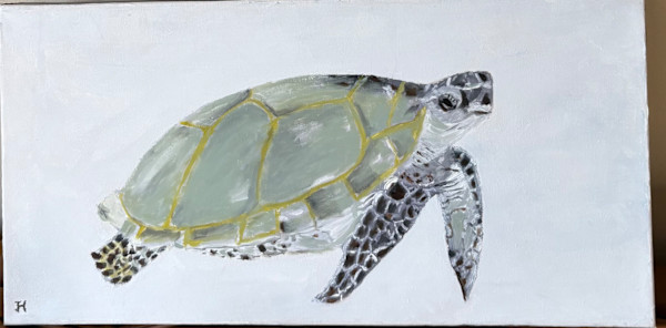 Hawaiian Turtle by Jim Hoehn, Image 1.