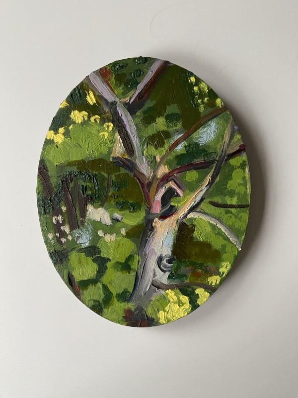 Tree Portrait 1 by Cindy Rivarde