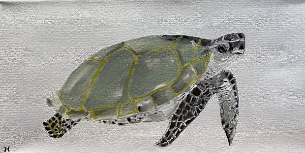 Turtle by Jim Hoehn