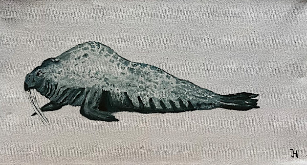 Walrus by Jim Hoehn, Image 1.