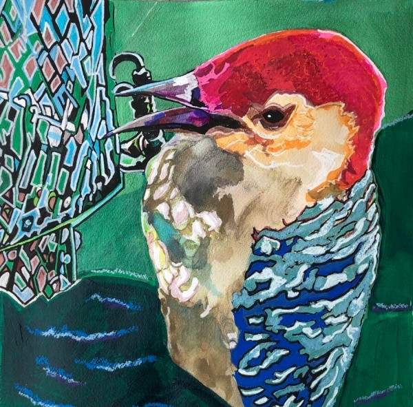 Yellow Bellied Woodpecker by Jamie Downs, Image 1.