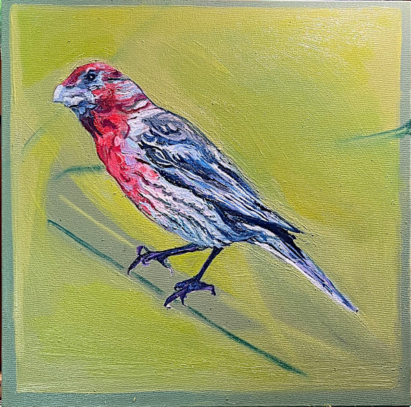 Red Finch on Greed Ground by Jamie Downs, Image 1.