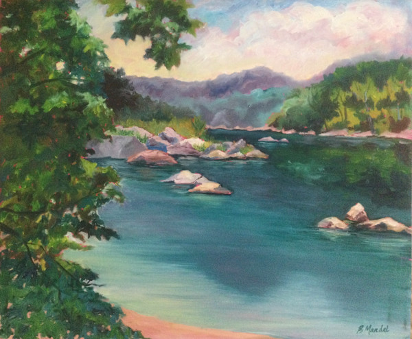 Potomac River Reflections by Barbara Mandel
