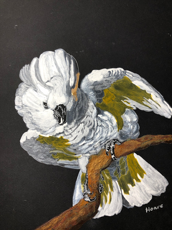 Cockatoo with Attitude by Alexandra Treadaway-Hoare, Image 1.