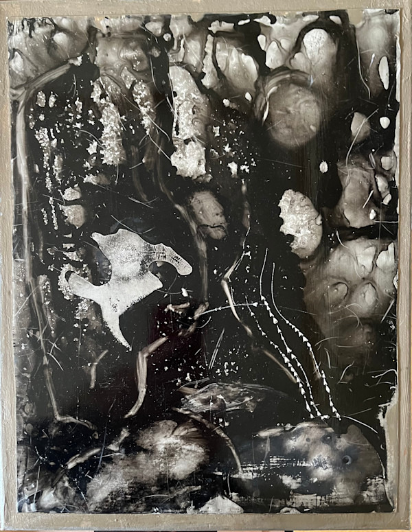 Creatures under the Sea by Marcia Bhorjee