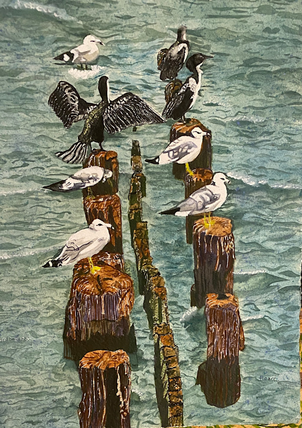 Sea Birds Resting by Alexandra Treadaway-Hoare, Image 1.