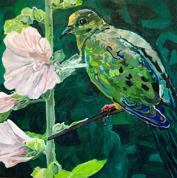 Dove in Shade by Jamie Downs, Image 1.