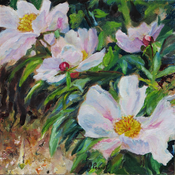 Peony Time by Jeanne Powell