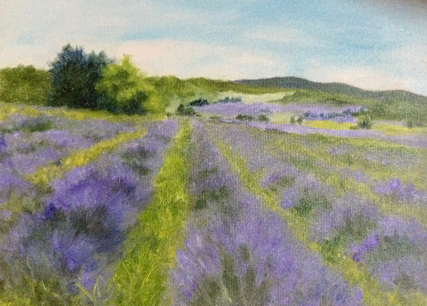 In Love with Lavender by Barbara Mandel