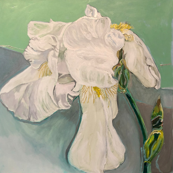 Iris in the Shade by Jamie Downs