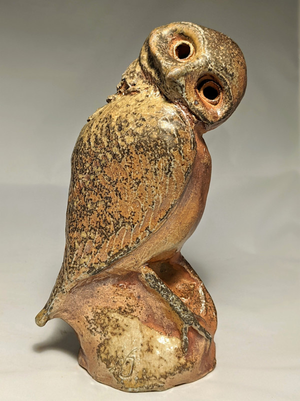 Burrowing Owl by Nancy Jakubowski