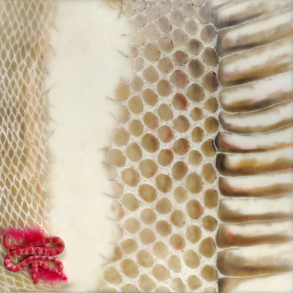 Shedding Fear by Janet Fox, Image 1.