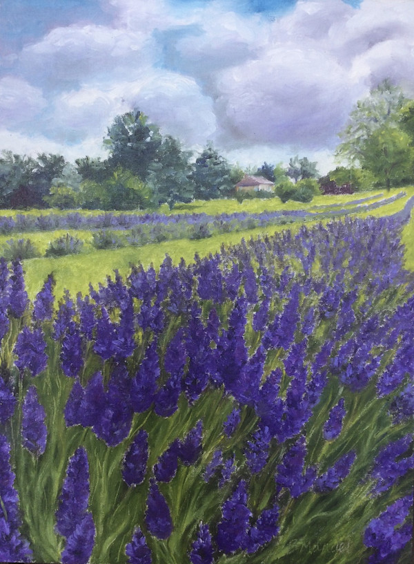 Lavender Love by Barbara Mandel