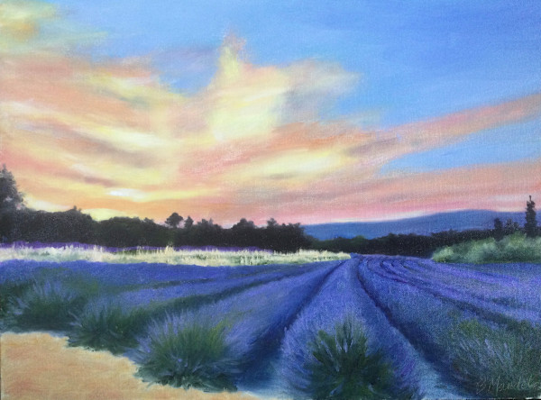 Lavender Sunset by Barbara Mandel
