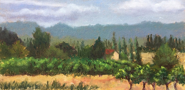 Luberon Vineyard by Barbara Mandel
