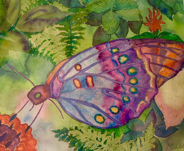 Mariposa by Barbara Mandel, Image 1.
