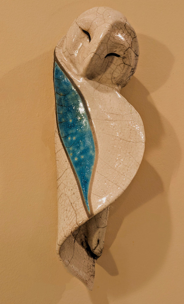 Sleeping Owl by Nancy Jakubowski