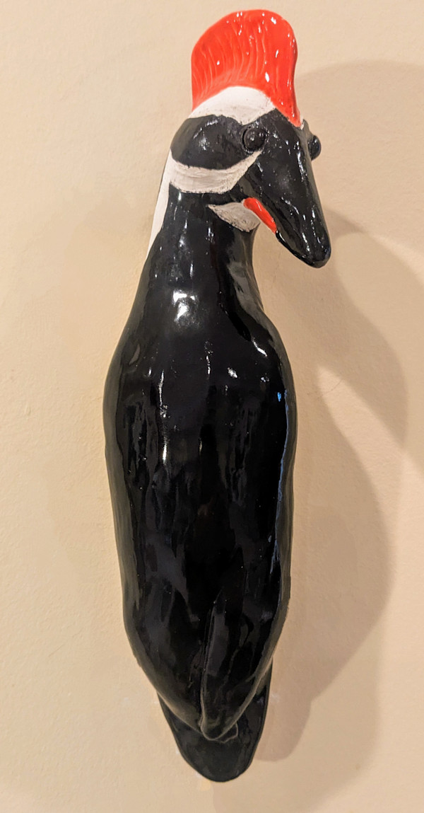 Pileated Woodpecker by Nancy Jakubowski