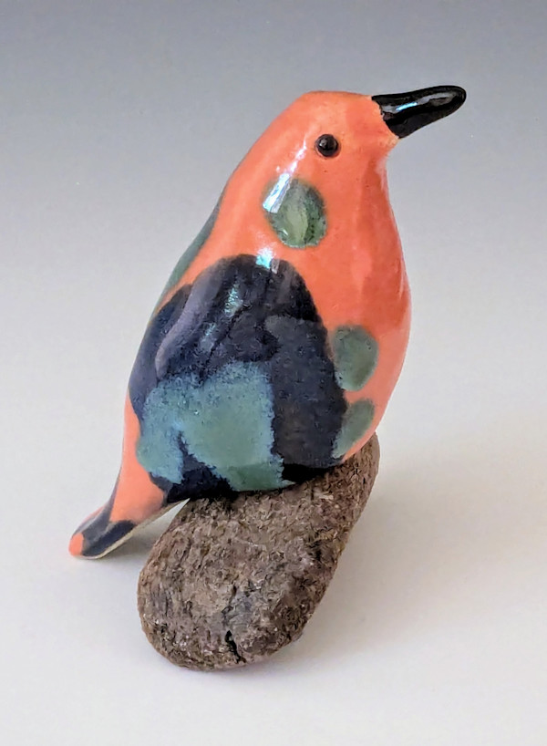 Orange Bird by Nancy Jakubowski