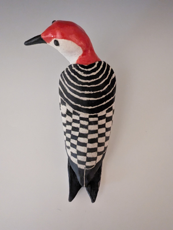 Red Bellied Woodpecker by Nancy Jakubowski