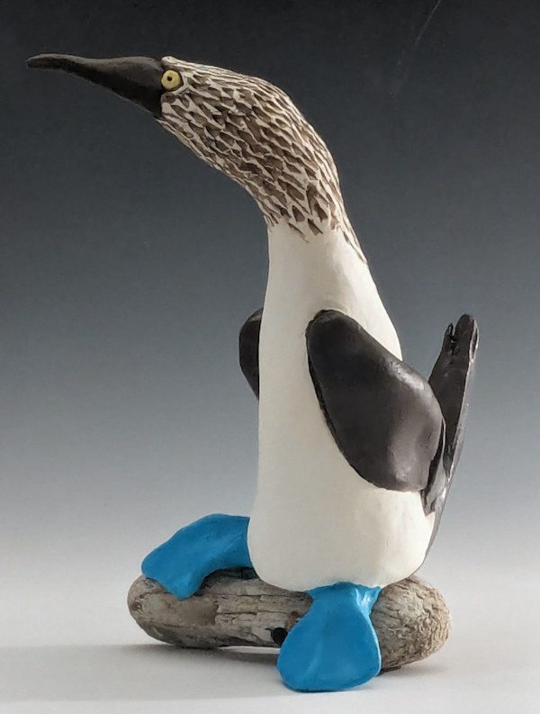 Blue Footed Booby by Nancy Jakubowski
