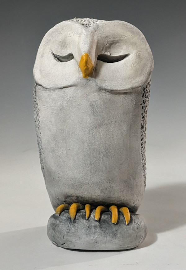 Sleeping Owl by Nancy Jakubowski