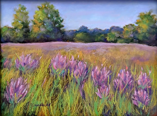 A Sense of Place by Grace Newcomer, Image 1.