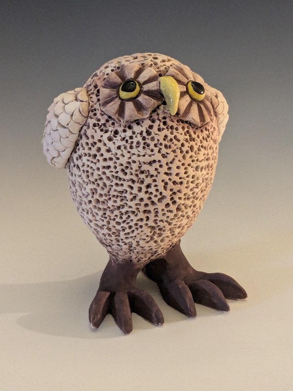 Whimsical Owl by Nancy Jakubowski