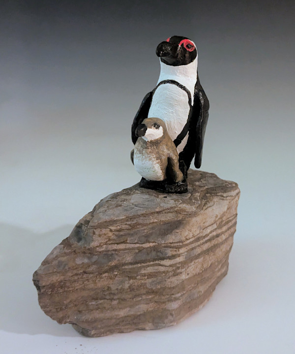 South African Penguins by Nancy Jakubowski, Image 1.