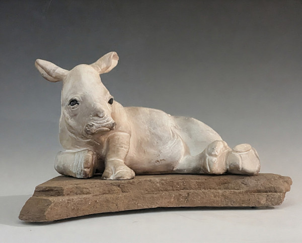 Baby Rhino by Nancy Jakubowski, Image 1.