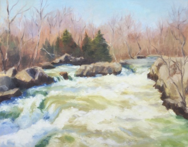 Potomac River Rushing Waters by Barbara Mandel