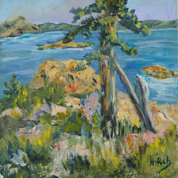 Rocky Shores by Cathy Hirsh