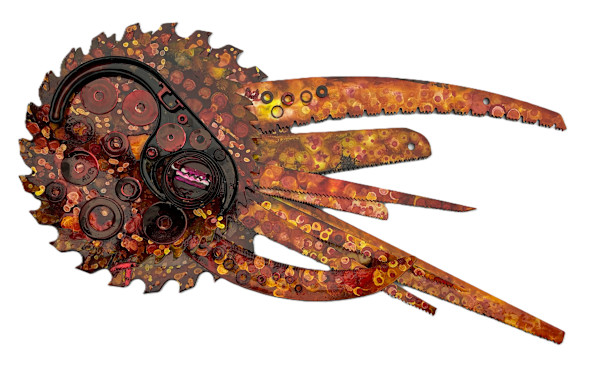 S'Octopus by Anastasia Walsh, Image 1.