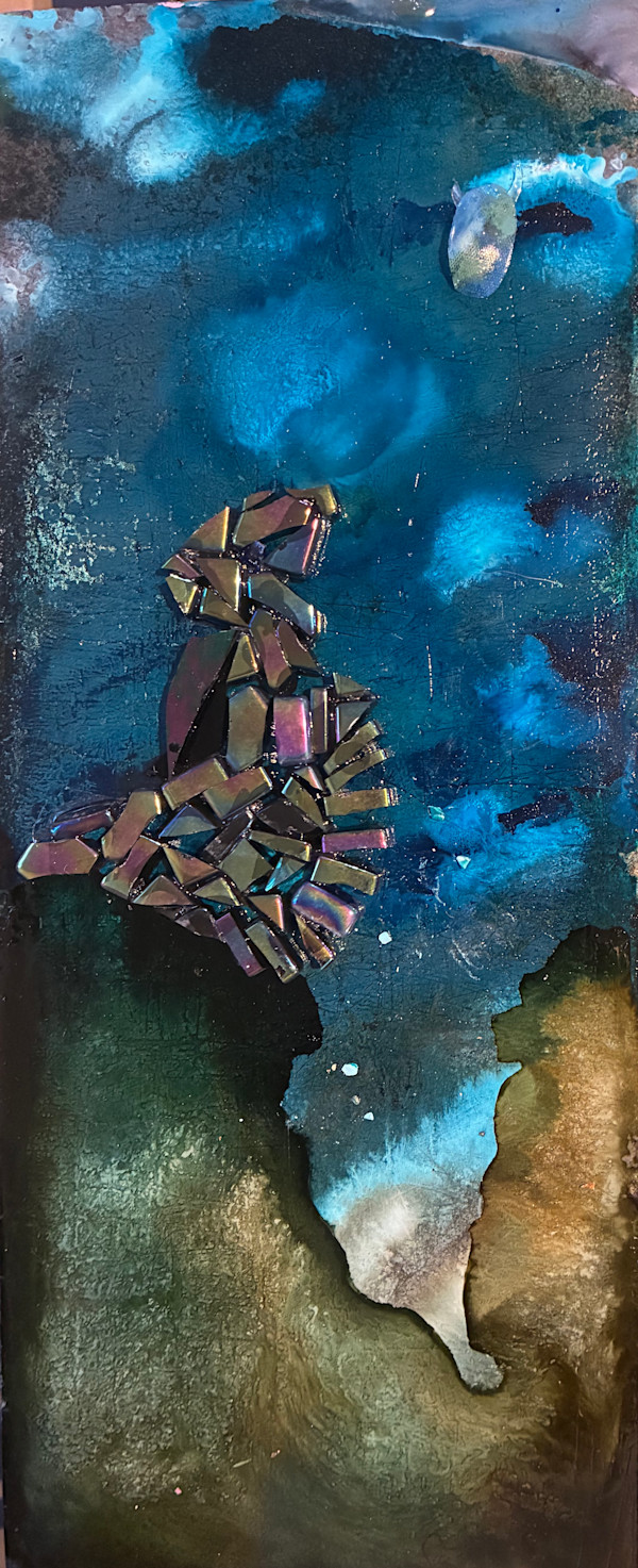 Galapagos Sea Lion by Anastasia Walsh, Image 1.