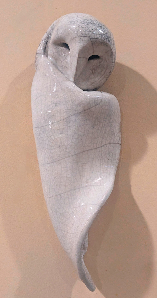 Sleeping Owl by Nancy Jakubowski