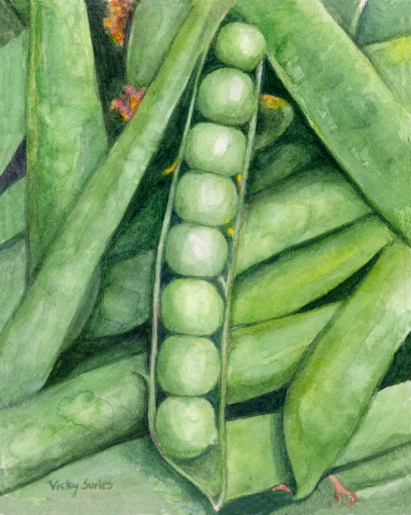 Peas in a Pod (or Give Peas a Chance) by Vicky Surles