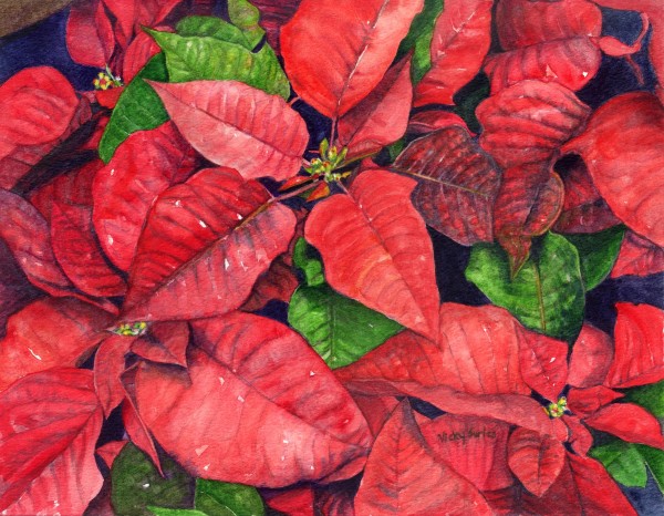 Poinsettias by Vicky Surles