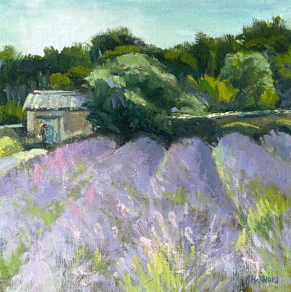Vincent's Garden by Jennifer Howard