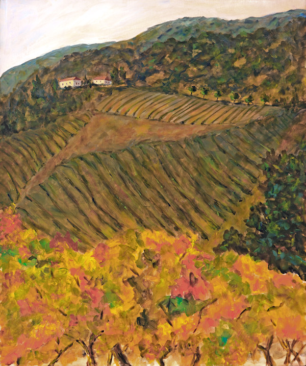 Vineyards by Cathy Hirsh