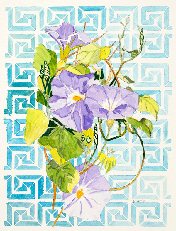 Greek Morning Glories by Alexandra Treadaway-Hoare