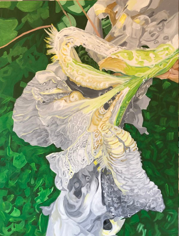 Iris after the Rain by Jamie Downs