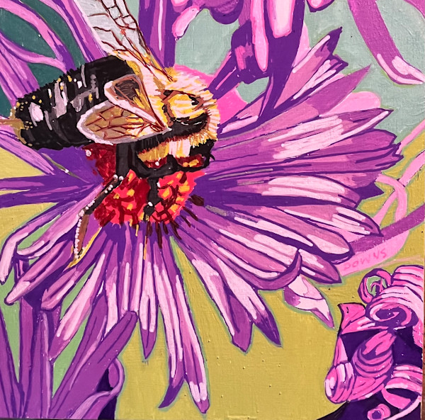 Landing on Purple Riches by Jamie Downs