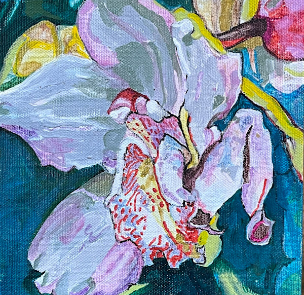 Orchid 2 Miniature by Jamie Downs