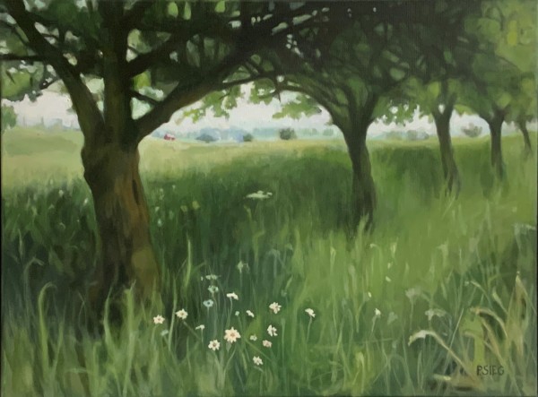 Meadow Walk by Patrick Sieg