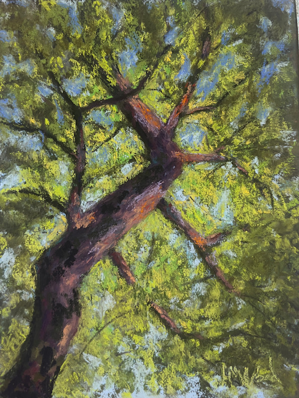 Skyward by Helen Wood